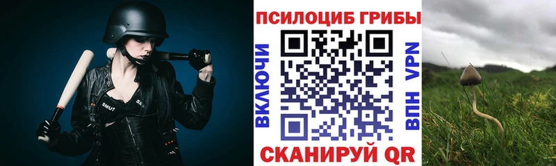 MEGA ссылка  darknet наркотические препараты  Добрянка  Псилоцибиновые грибы мицелий  купить наркотики цена 