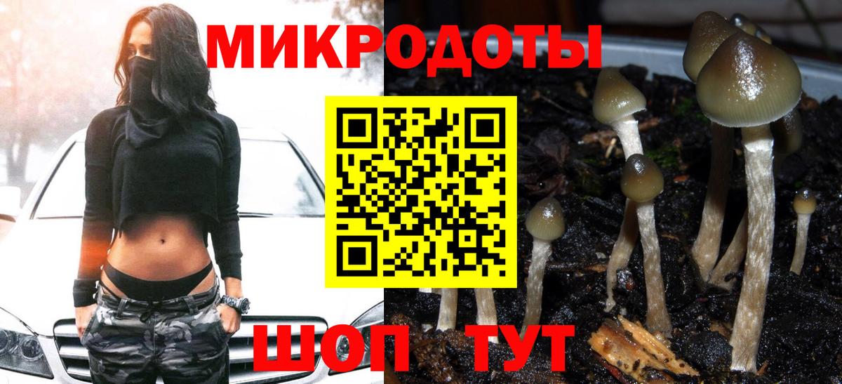 Добрянка  Псилоцибиновые грибы мицелий  Галлюциногенные грибы Psilocybe  Вход с VPN 